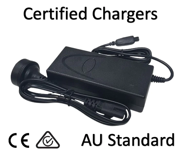 Hoverboard Charger on Sale